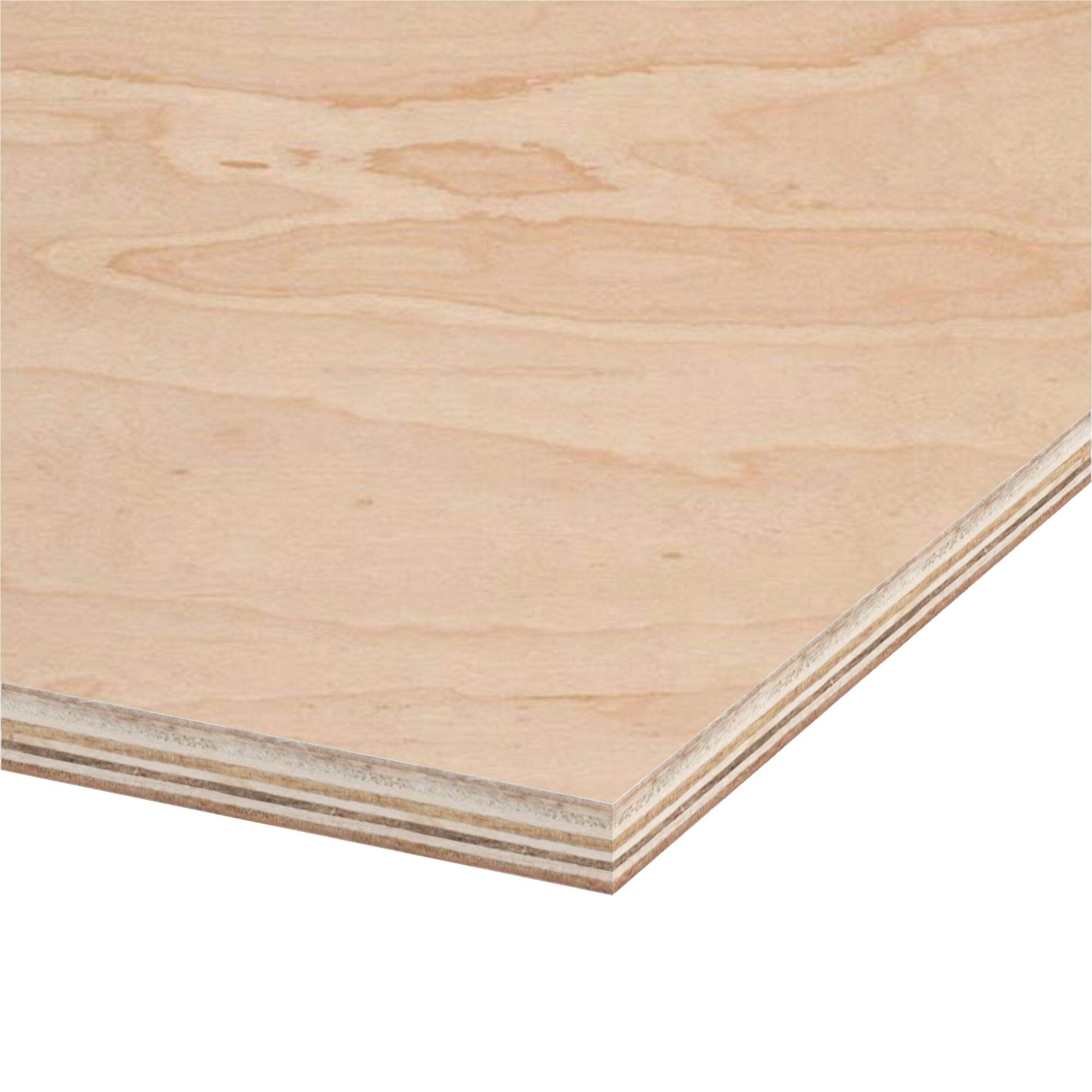 maple face plywood2.jpg