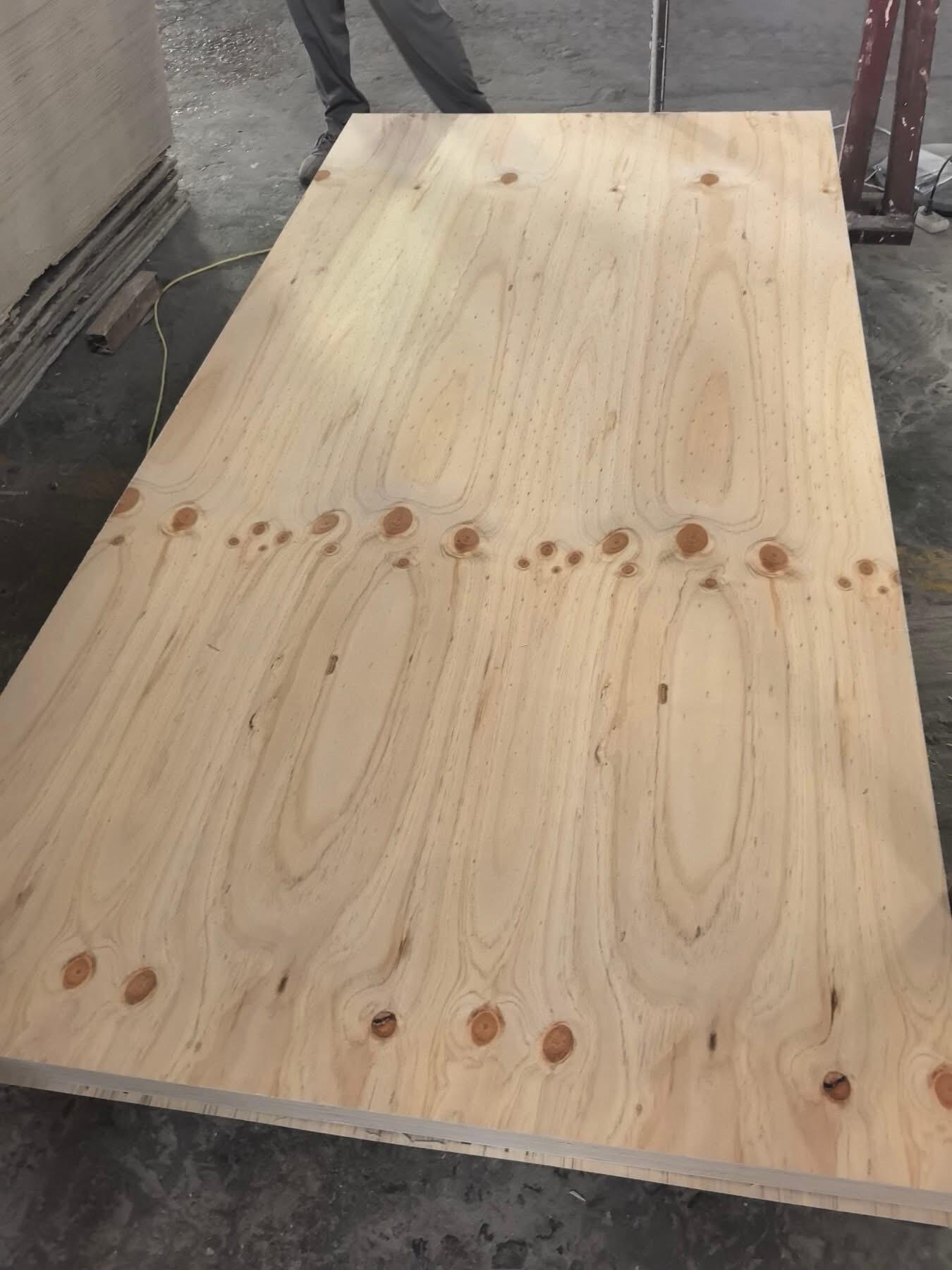 CDX plywood.jpg