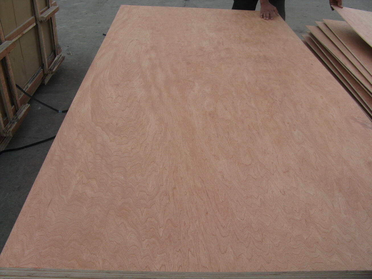 Bintangor Face Plywood