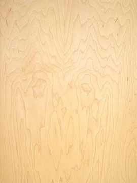 Maple Face Plywood