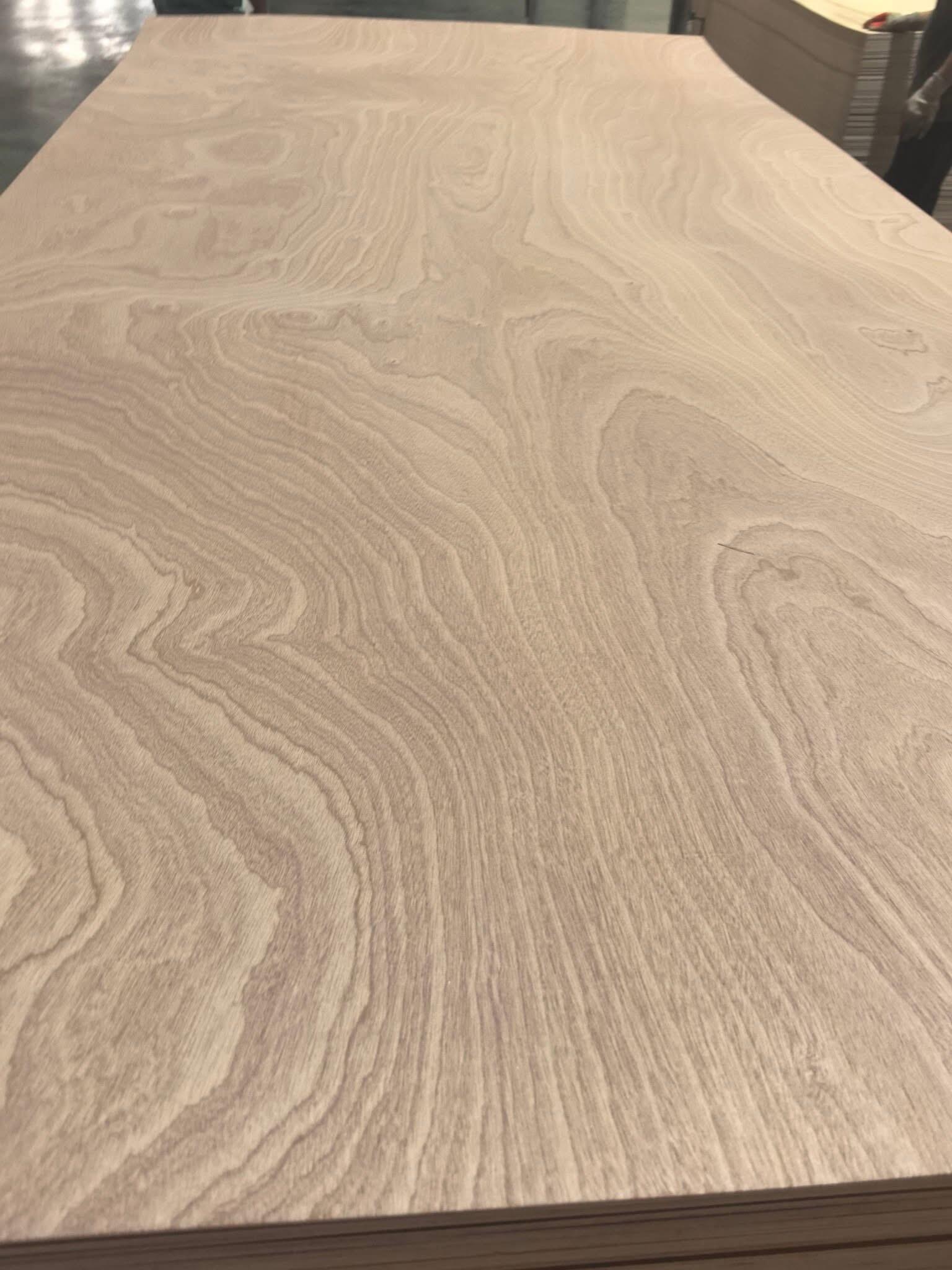 Sapelle Face Plywood