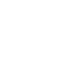 Custom Solutions Available