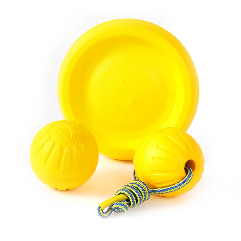 Why Are EVA Pet Toys So Popular Now?