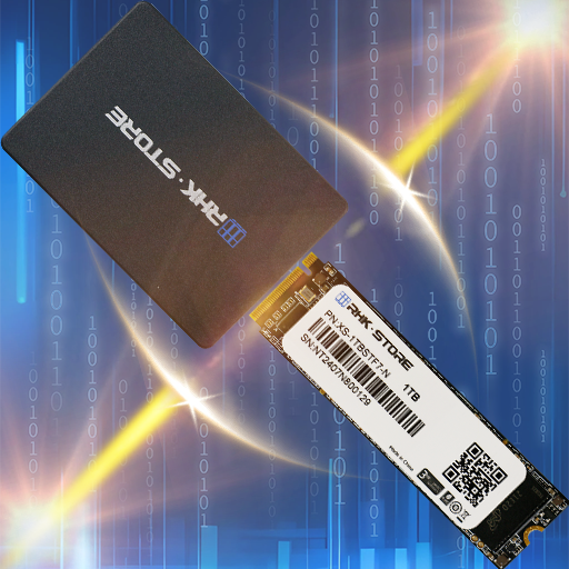 निजी ब्रांड SSD