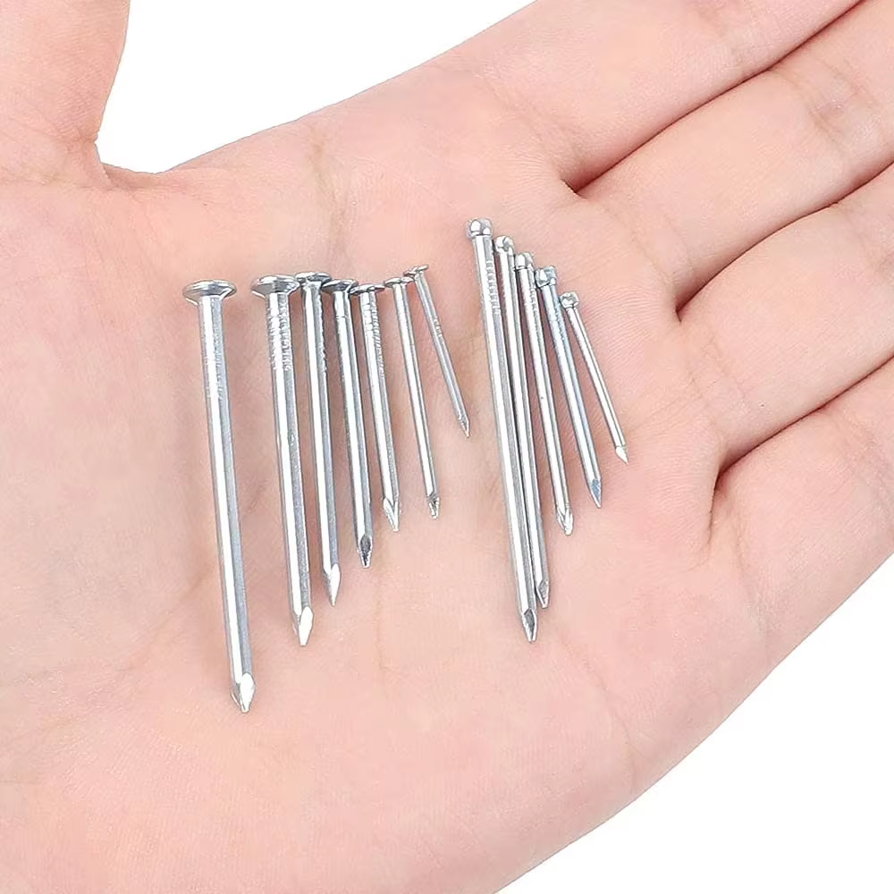 Customizable 12 Sizes Steel Nails Combo Kit Multi-Purpose Household Toolbox Essentials Assorted Wire Common Nails Collection supplier