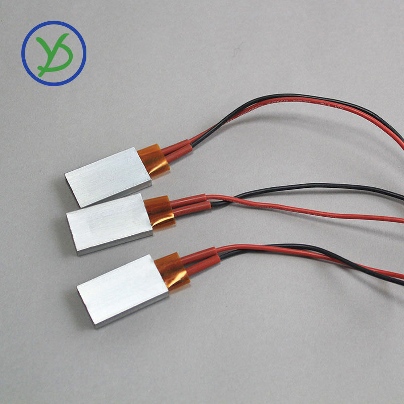 4 Plaques Chauffantes PTC 220V/150°C 3-8W - Chauffage à Température Constante AC/DC Pour Micro-dispositifs - Alimentation Directe 220V