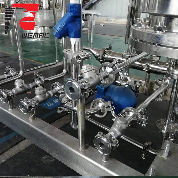 WEMAC Pure Steam Generator: Ensuring Quality in Every Batch