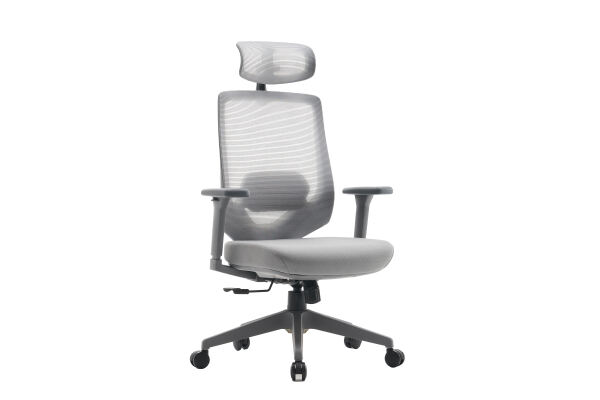 Originalni Ergonomski Kancelarski Stolic - Savremeni Visoki Leđni Mrežasti Stolic sa Prilagodljivim Rukovima