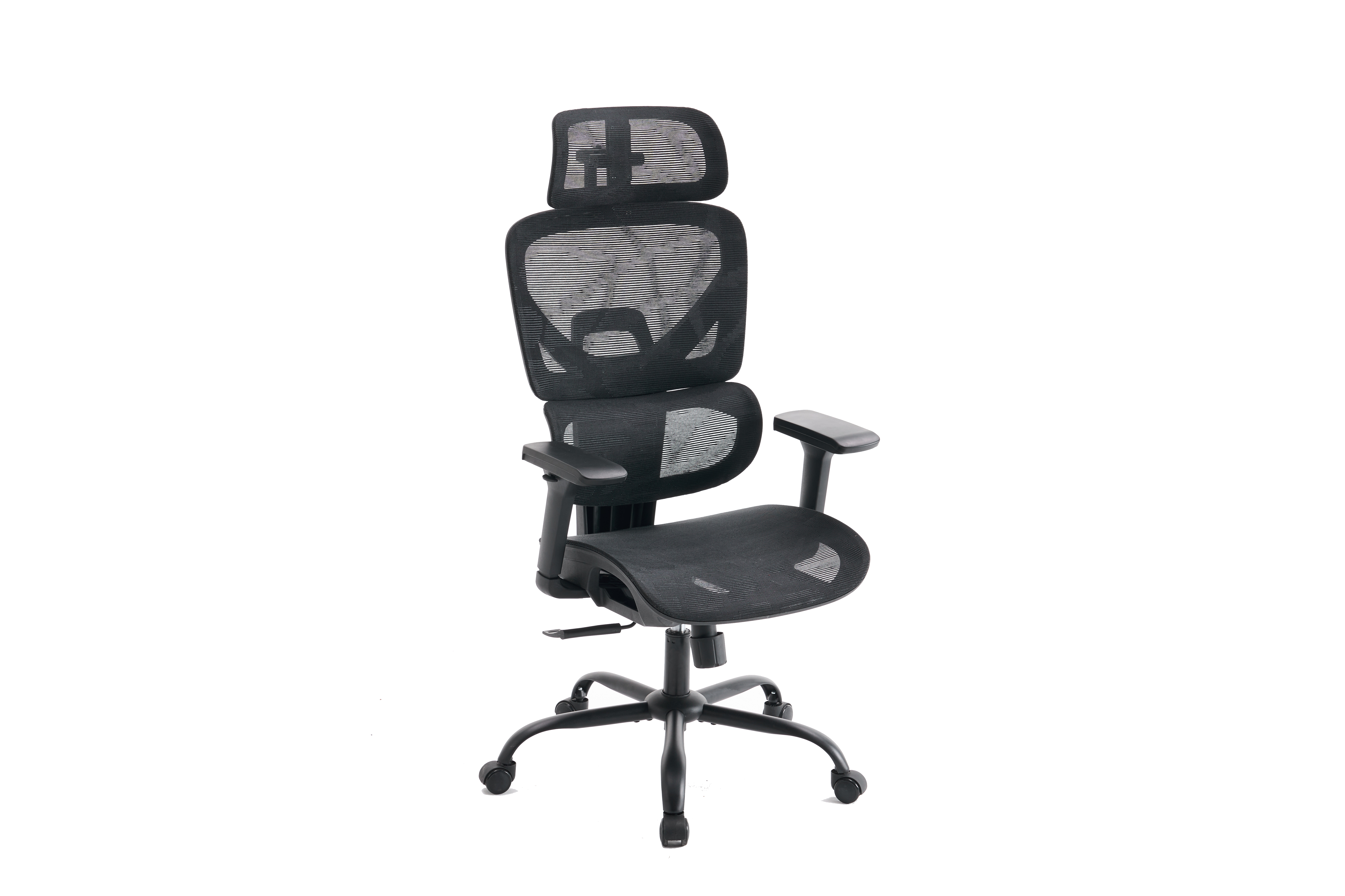The Intersection of Form and Function in Ergonomic Design