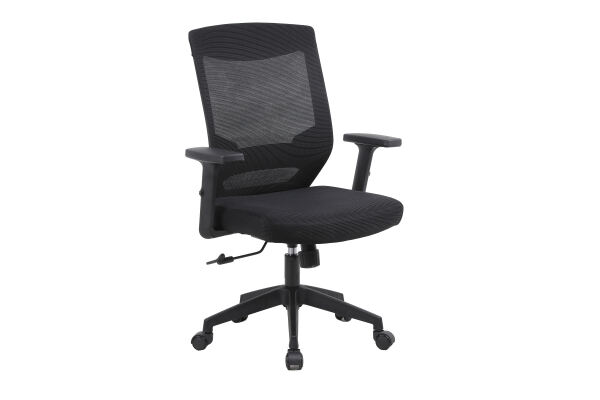 Core Ergonomic Mesh Chair - Stolica visokog pozadinska za ured za kućnu i poslovnu upotrebu