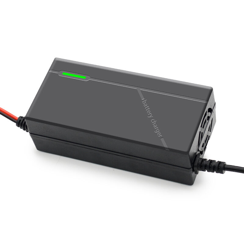 Geavanceerde Slimme Oplaadtechnologie met Universele Compatibiliteit