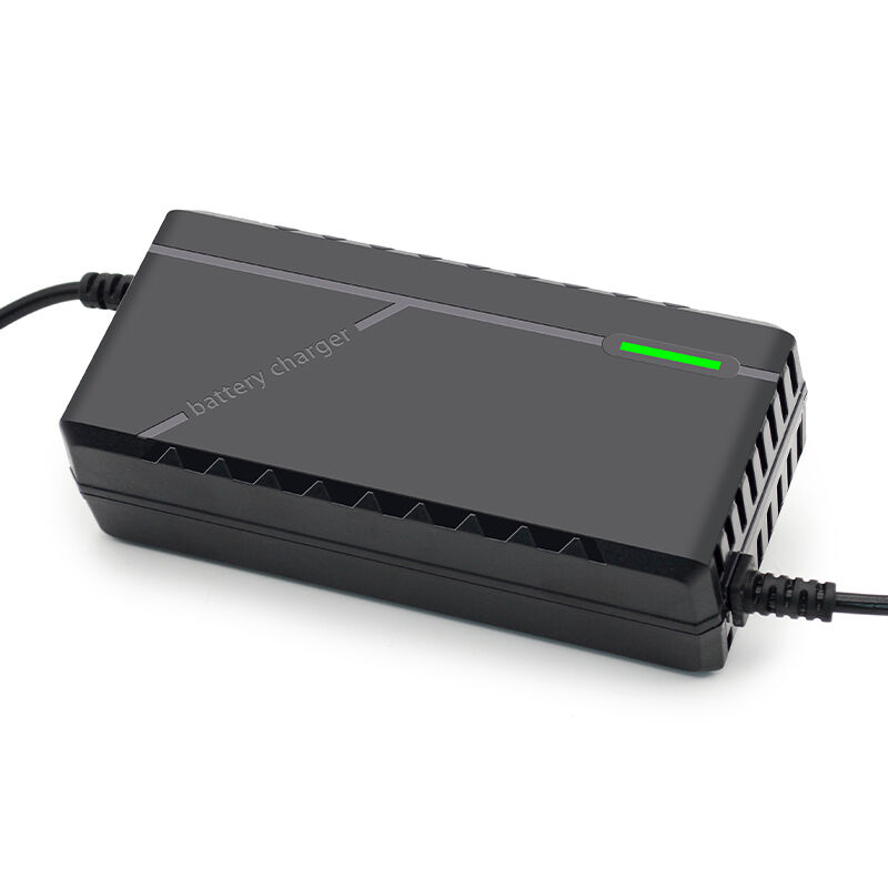 Maintenance-Free Operation and Long-Term Storage Protection