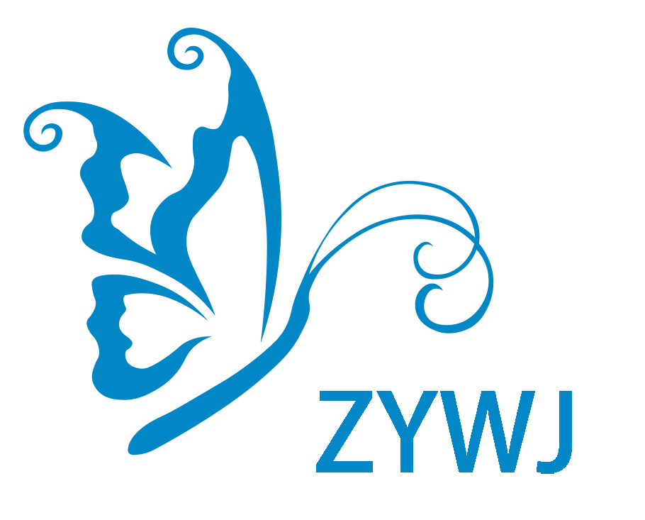 Fujian Zhongyi Wanjia Technology Co., Ltd.