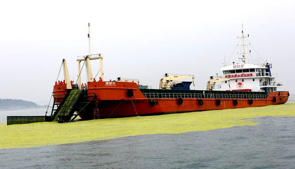 2016 Jiangsu Lianyungang nuclear power plant enterorpha salvage project