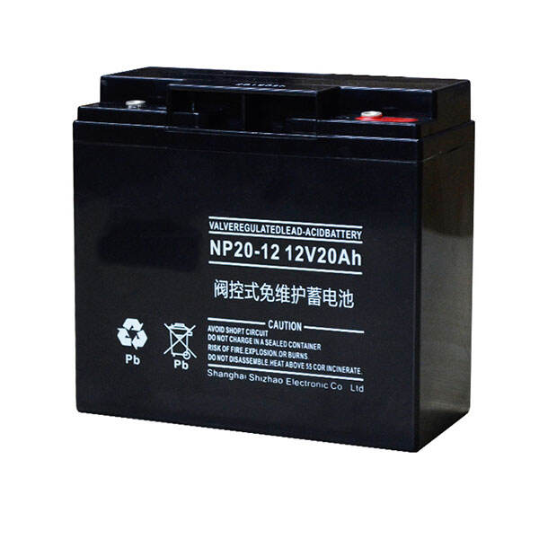 NP20-12 12V20Ah Lead-Acid Battery