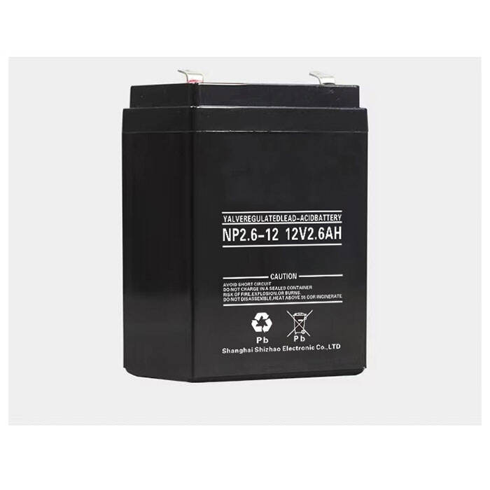 NP12-2.6Ah 12V2.6Ah Lead-Acid Battery