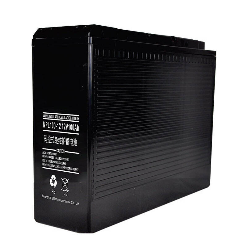 NPL100-1 2 12V100Ah