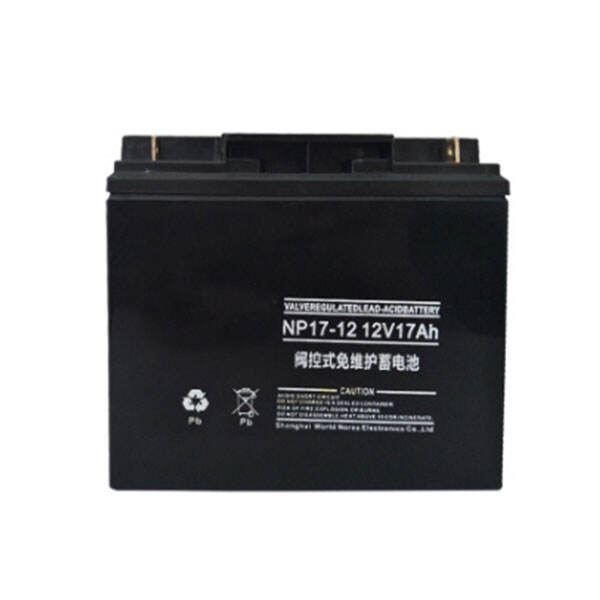 NP16-12 12V16Ah Lead-Acid Battery