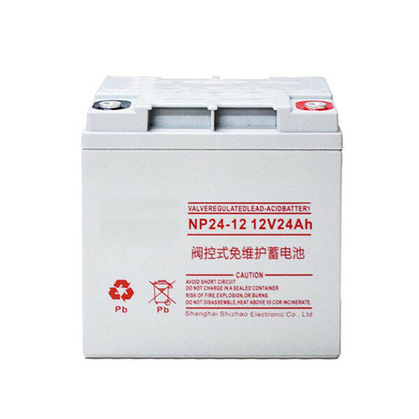 NP24-12 12V24Ah Lead-Acid Battery
