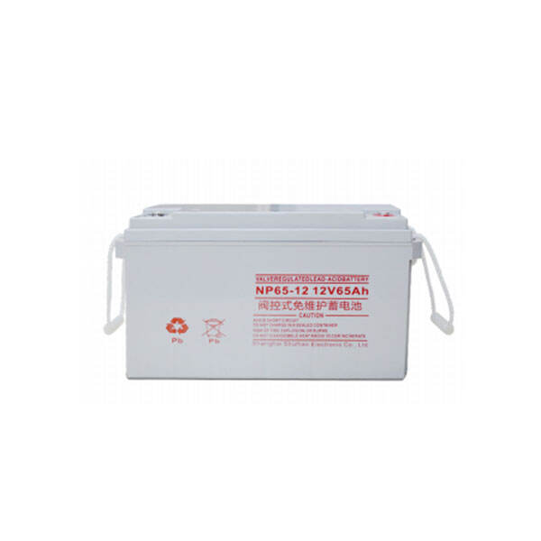 NP65-12 12V65Ah Lead-Acid Battery