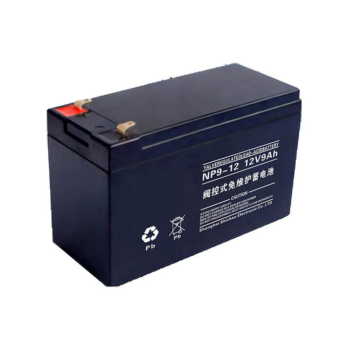 NP9-12 12V9Ah Lead-Acid Battery