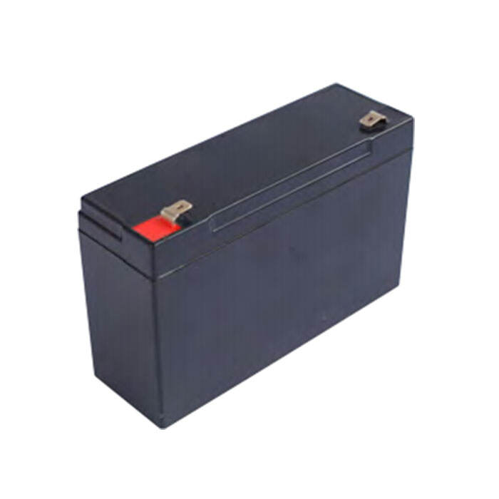 NP6-12Ah 6V12Ah Lead-Acid Battery