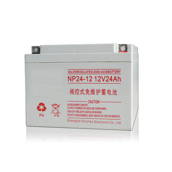 NP24-12 12V24Ah NP24-12 12V24Ah
