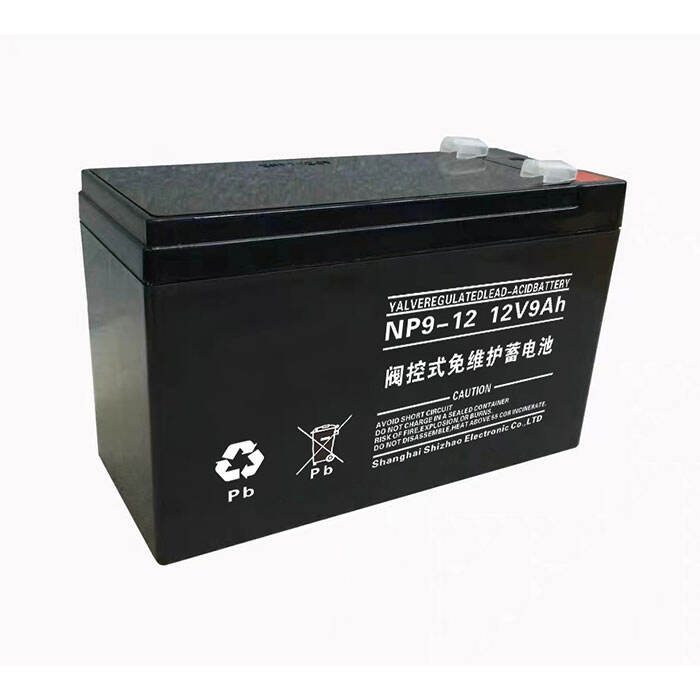 NP12-9Ah 12V9Ah Lead-Acid Battery