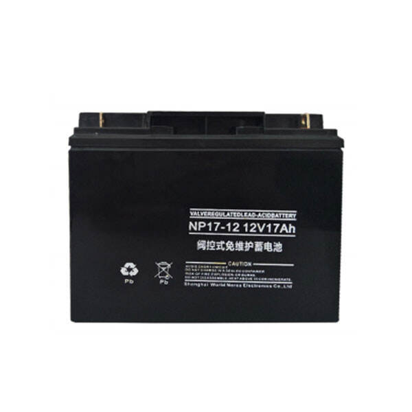 NP17-12 12V17Ah Lead-Acid Battery