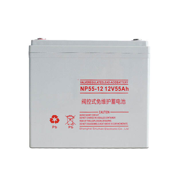 NP55-12 12V55Ah Lead-Acid Battery