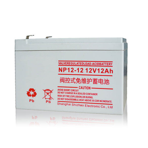 NP12-12 12V12Ah Lead-Acid Battery