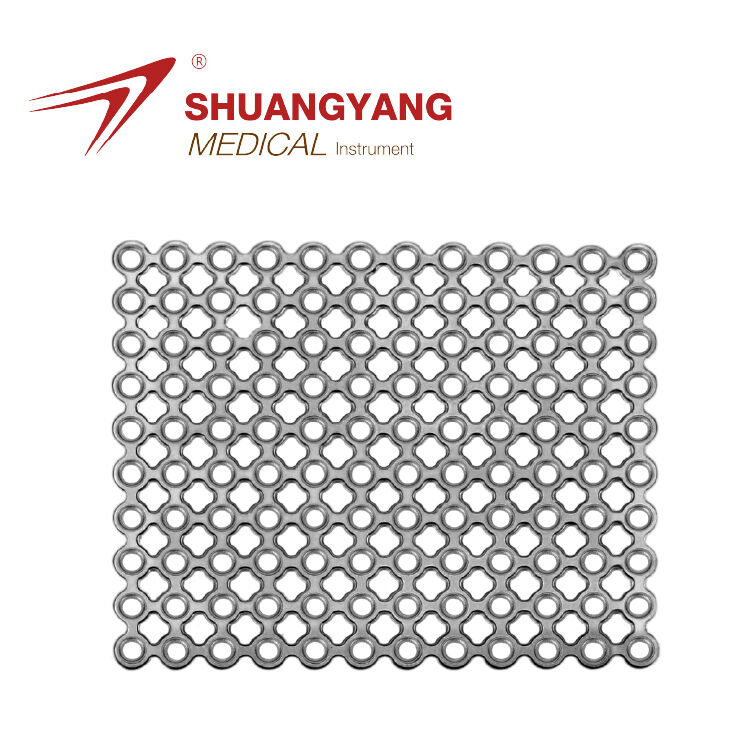 2D Round Hole Flat Titanium Mesh Used For Skull Restoration System