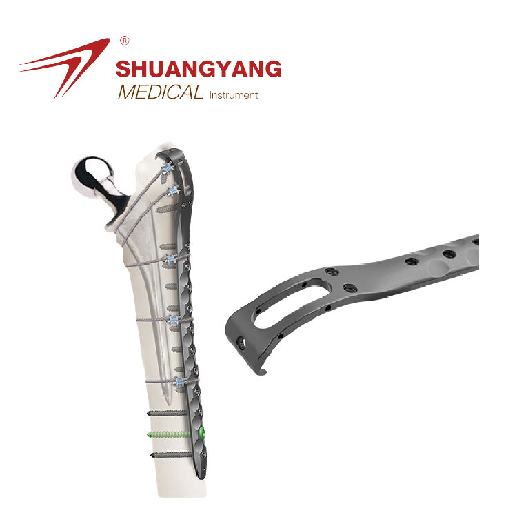 Prosthesis and revision femur locking plate