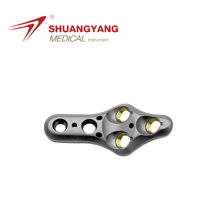 Multi-axial neck of femur locking plate Ⅱ type