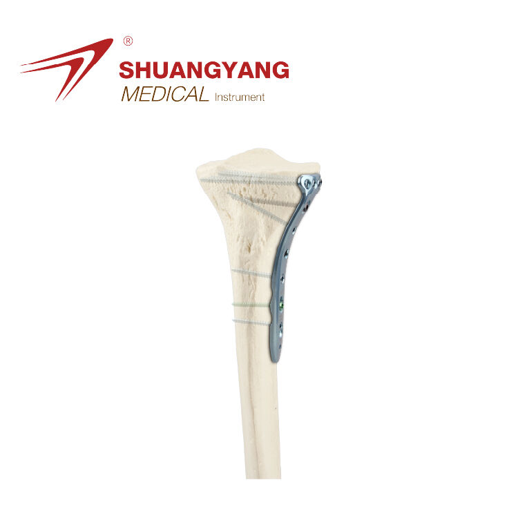 Multi-axial/Medial tibia plateau locking plate