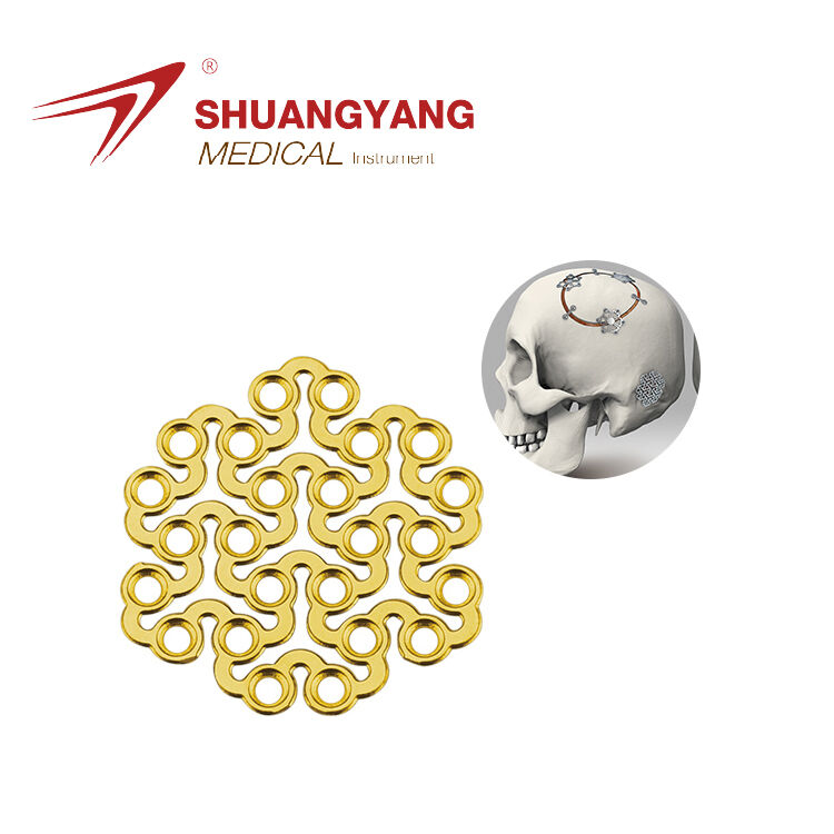 Minimally Invasive Titanium Mesh for Cranial Repair