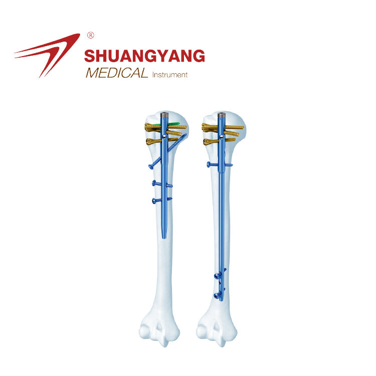 Humerus intramedullary nail
