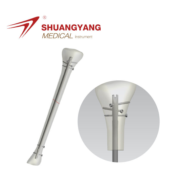 Tibial intramedullary nail