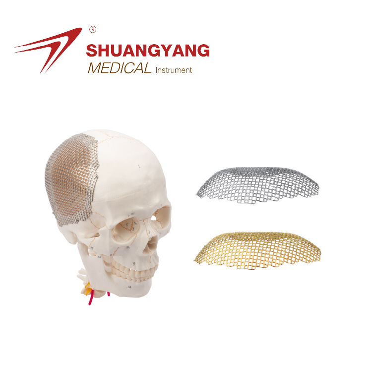 Anatomical 2D round hole titanium mesh Used For Skull Restoration System