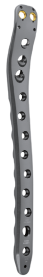 multi axial neck of femur locking plate  type-5