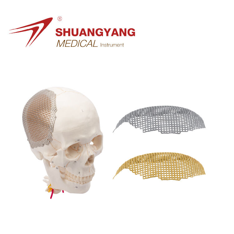 Anatomical 2D square hole titanium mesh Used For Skull Restoration System