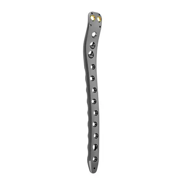 Multi-axial Neck of Femur Locking Plate