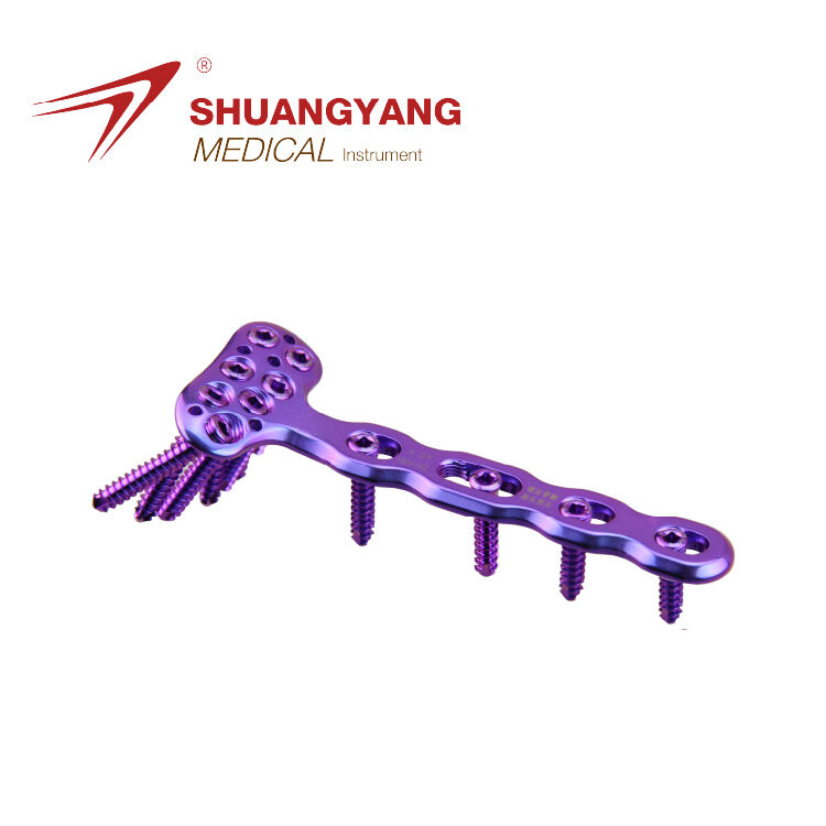 Volar locking plate-Oblique head type