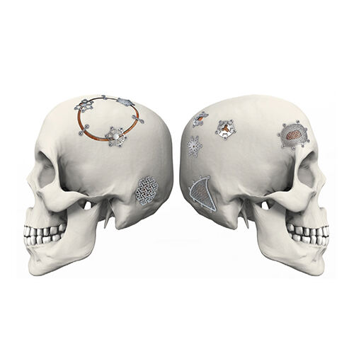 Cranial System