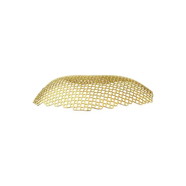 anatomical titanium mesh-2D round hole