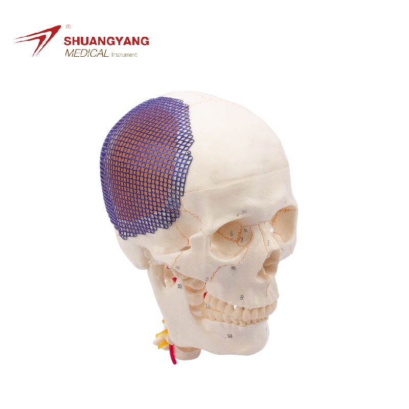 Customizable Fit for Patient Comfort