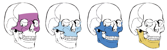 image (8).png