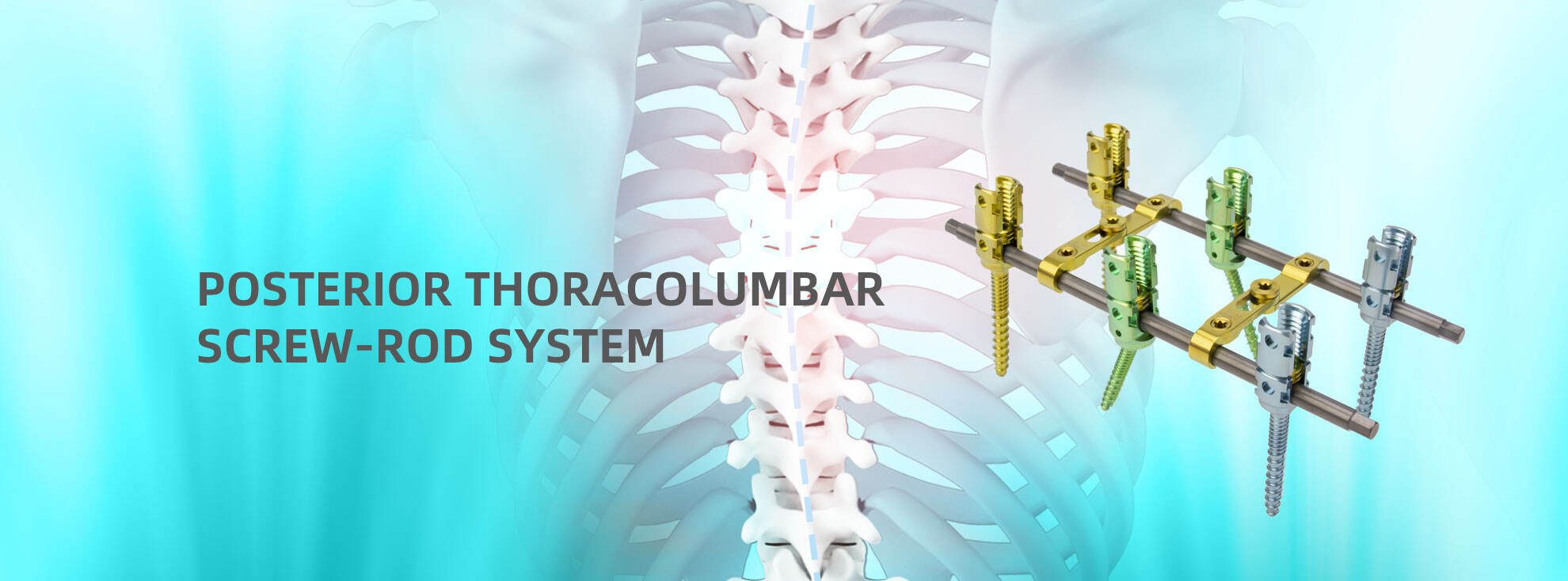 Spinal surgery