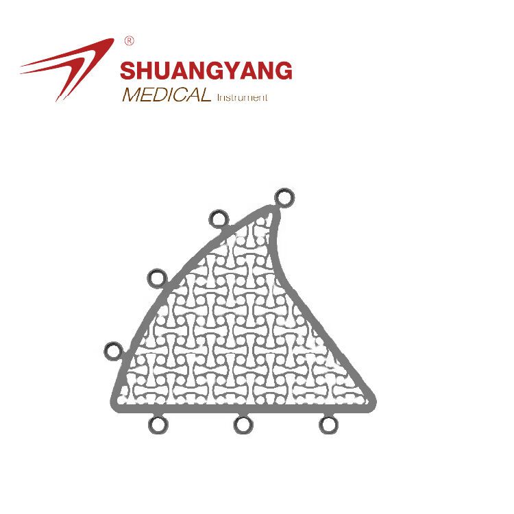Neurosurgery implant Mastoid interlink plate
