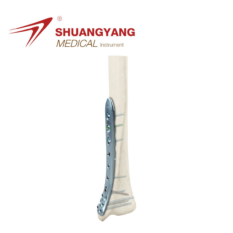 Distal medial tibia locking plate